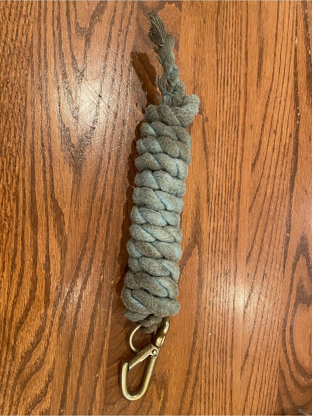 Light Blue Lead Rope